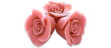 Roses roses (12)