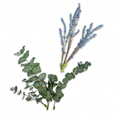 Décoration Fleurs séchées - Eucalyptus et lavande bleu-violet