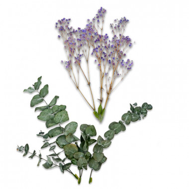 Décoration Fleurs séchées - Eucalyptus et Gypsophile violette
