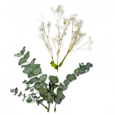 Décoration Fleurs séchées - Eucalyptus et Gypsophile blanche