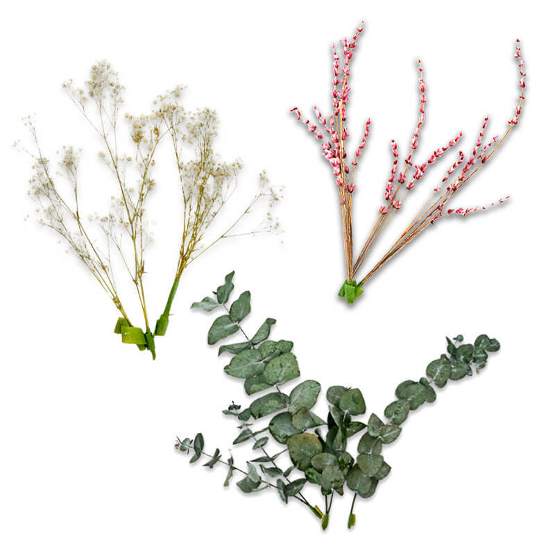 Décoration Fleurs séchées - Eucalyptus, Gypsophile blanche et Lavande rose